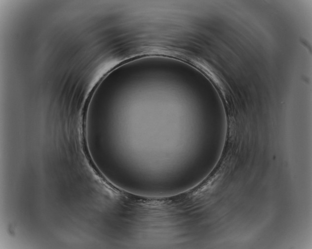 X0000091581048200708271216
