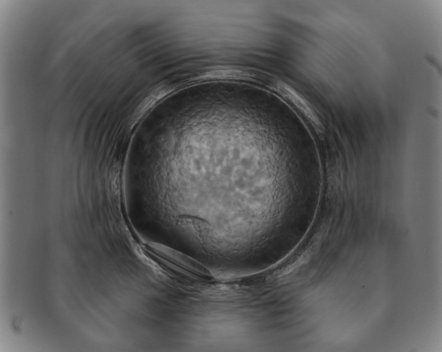 X0000091581049200708271216