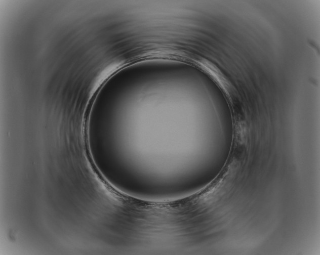 X0000091581050200708271216
