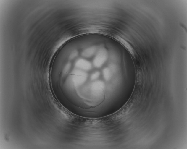 X0000091581051200708271216