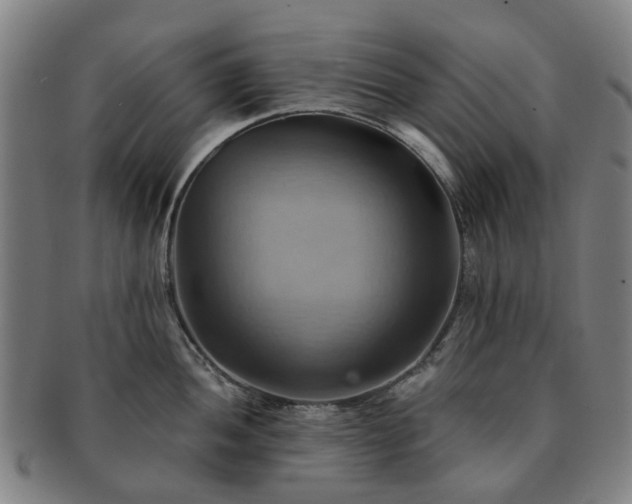 X0000091581052200708271216