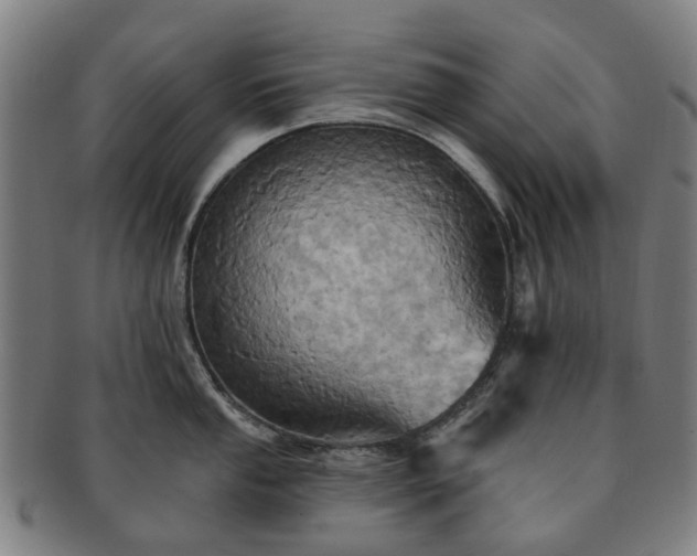 X0000091581053200708271216