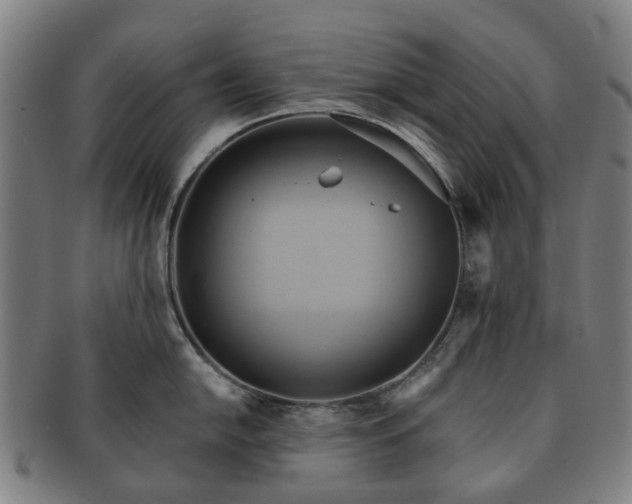 X0000091581054200708271216