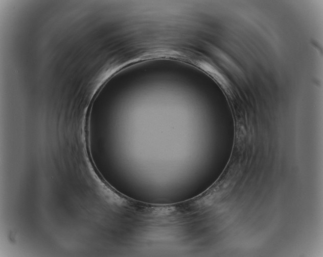 X0000091581055200708271216