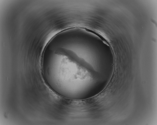 X0000091581056200708271216