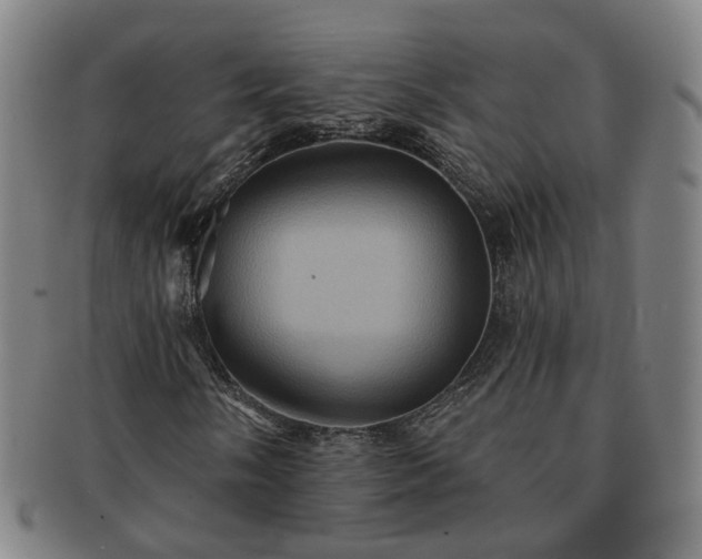 X0000091581058200708271215