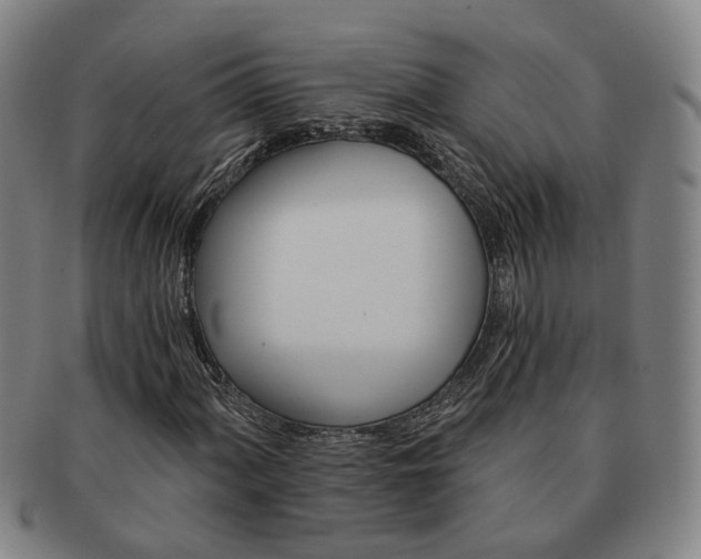 X0000091581060200708271215