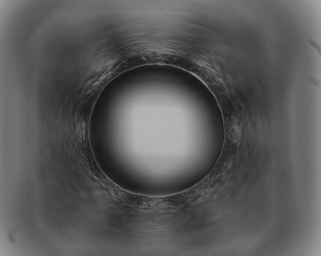 X0000091581061200708271215