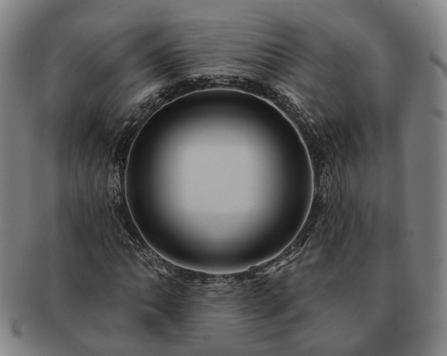 X0000091581062200708271215