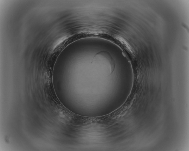 X0000091581064200708271215