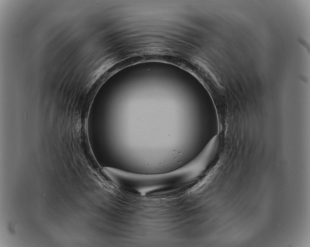 X0000091581065200708271215