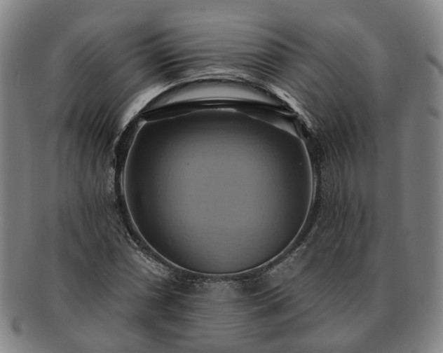 X0000091581066200708271215