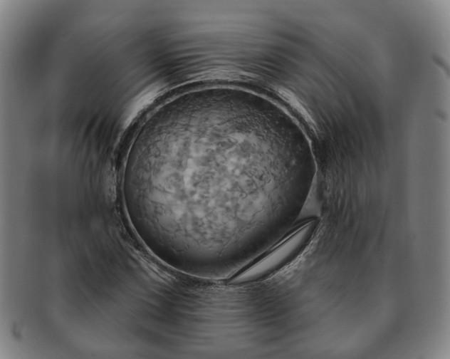 X0000091581067200708271215