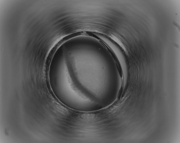 X0000091581068200708271215