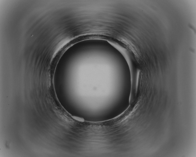X0000091581069200708271215