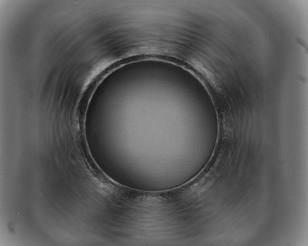 X0000091581070200708271215