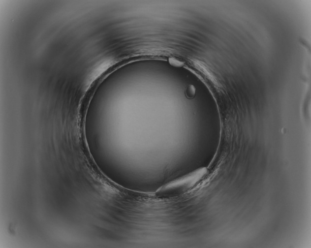 X0000091581071200708271215