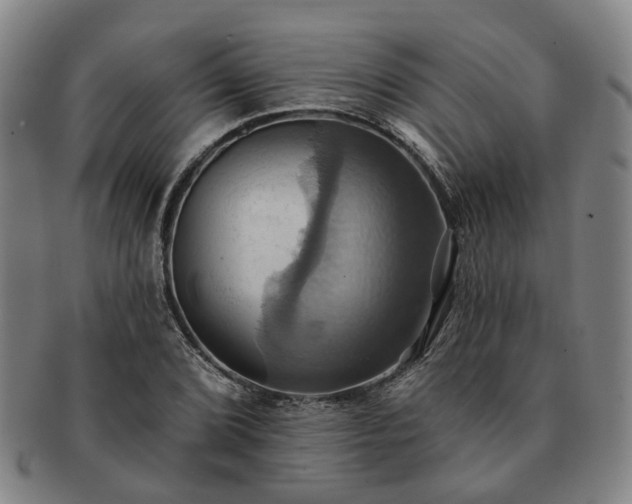 X0000091581072200708271215