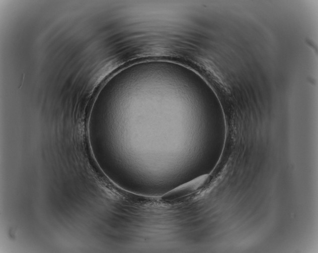 X0000091581073200708271215