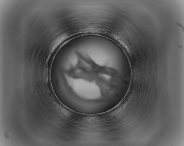 X0000091581075200708271215
