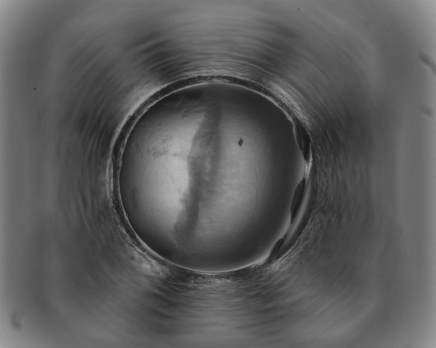 X0000091581076200708271215