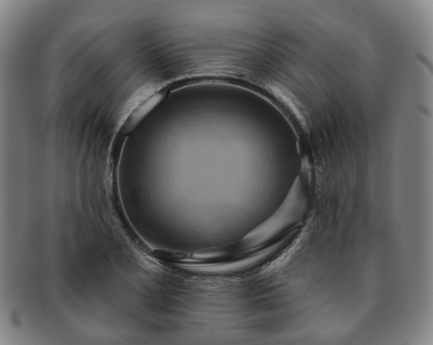 X0000091581077200708271215