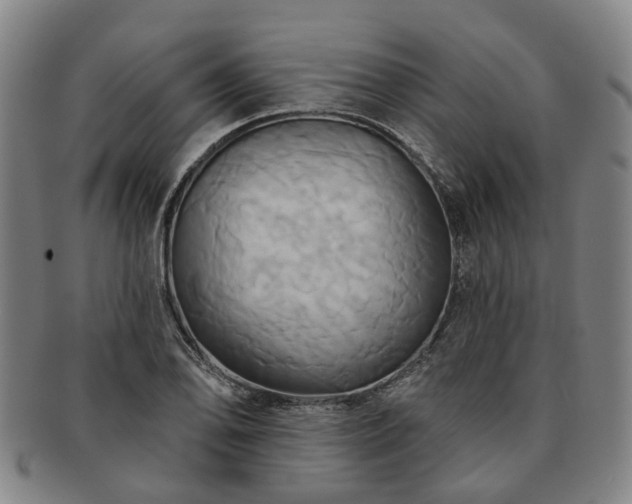 X0000091581078200708271215