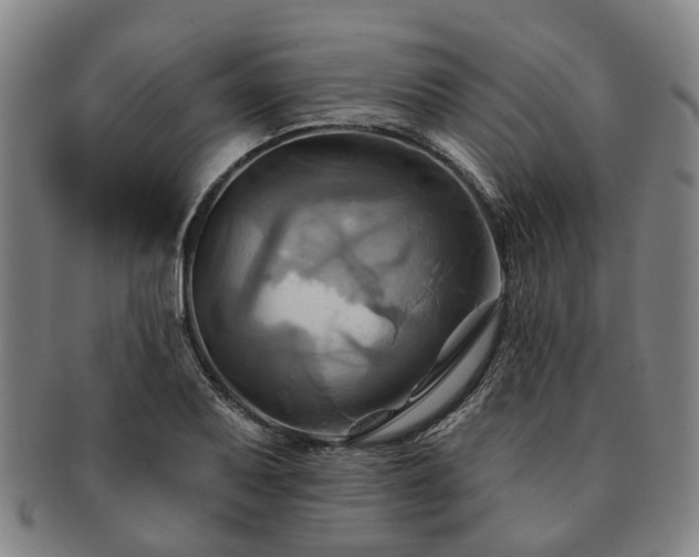 X0000091581079200708271215