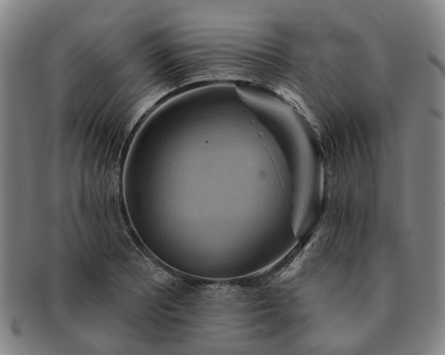 X0000091581081200708271215
