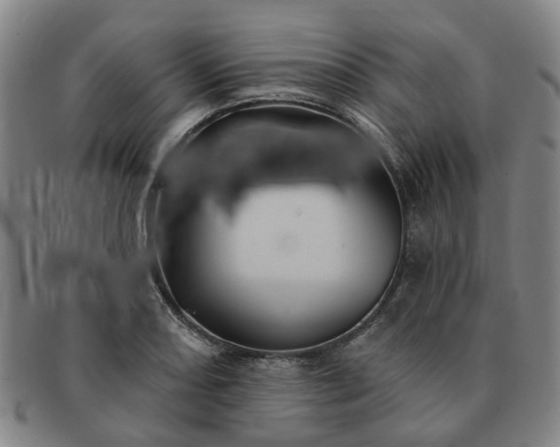 X0000091581082200708271215