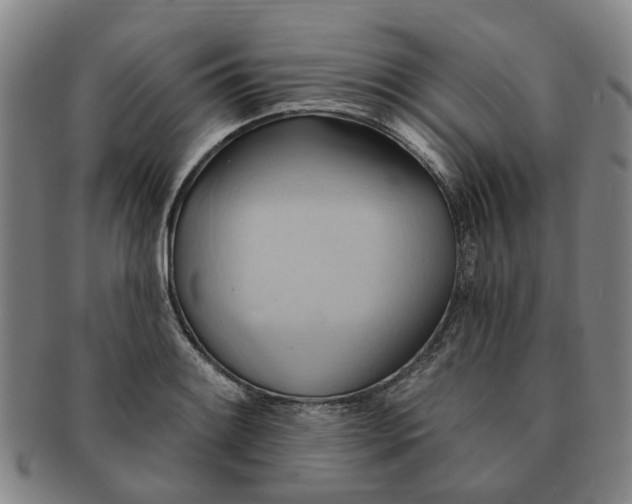 X0000091581084200708271215