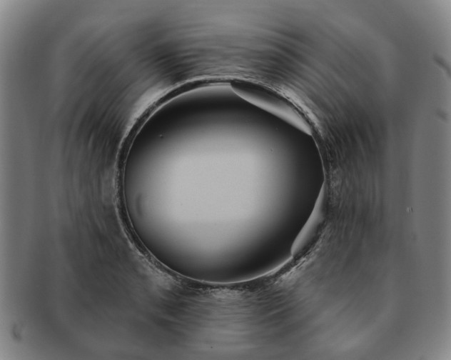 X0000091581085200708271215