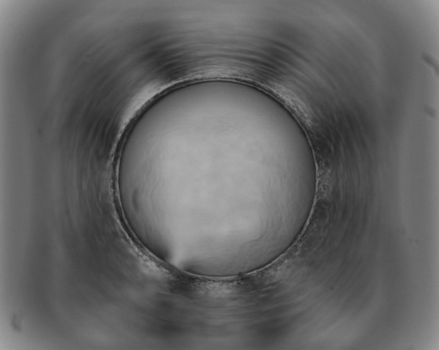 X0000091581086200708271215