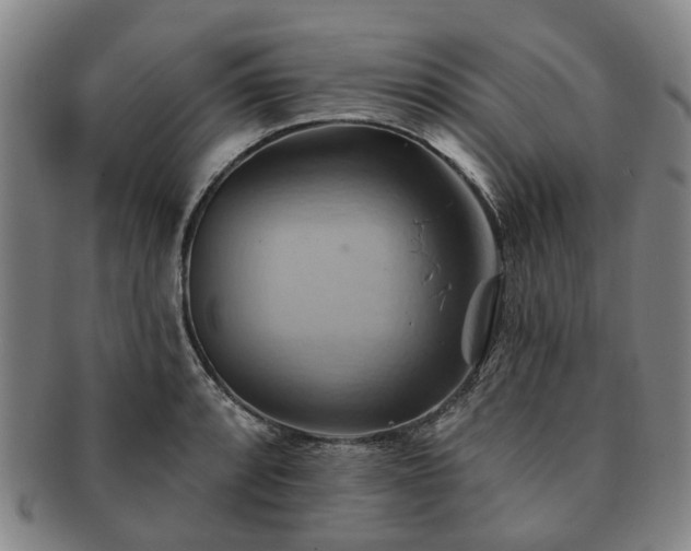 X0000091581088200708271215