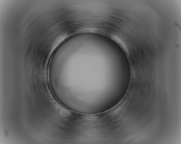 X0000091581090200708271215