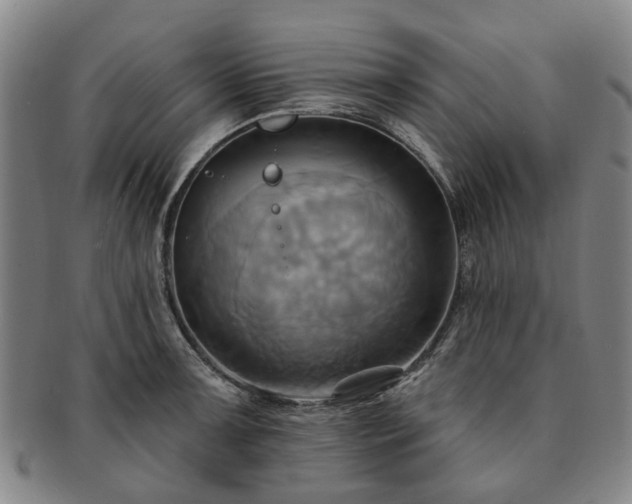 X0000091581091200708271215