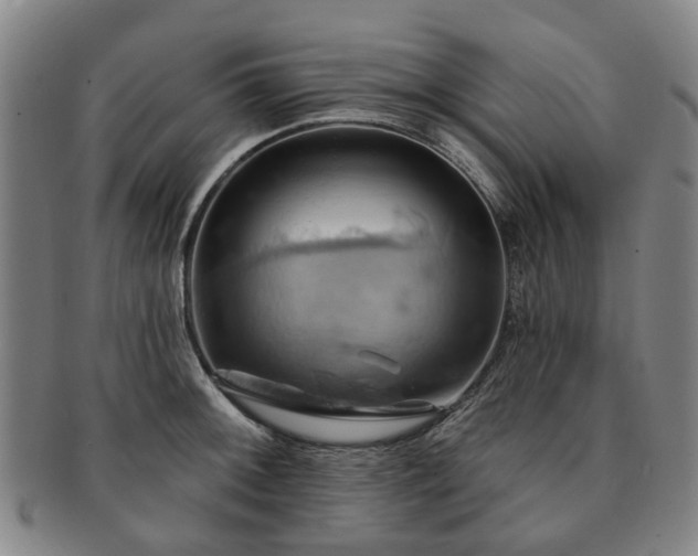 X0000091581092200708271215
