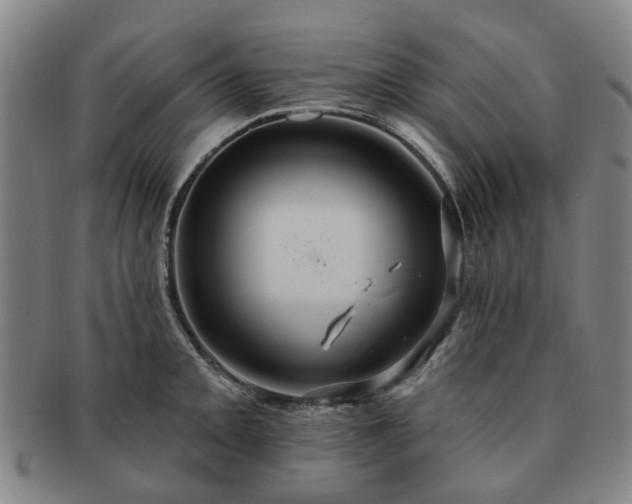 X0000091581093200708271215