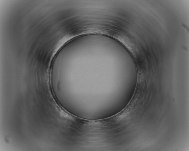 X0000091581094200708271215
