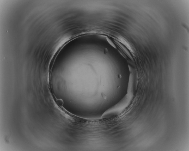 X0000091581095200708271215