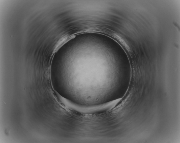X0000091581097200708271215