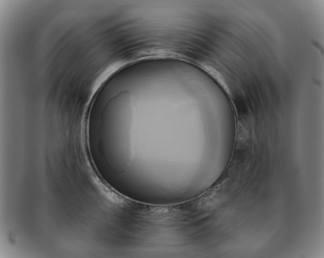 X0000091581098200708271215
