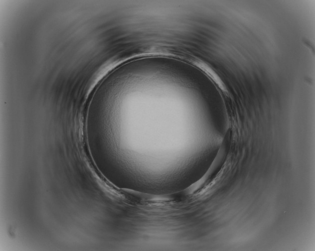 X0000091581101200708271215