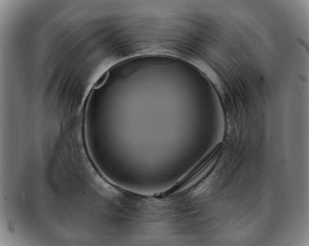 X0000091581102200708271215