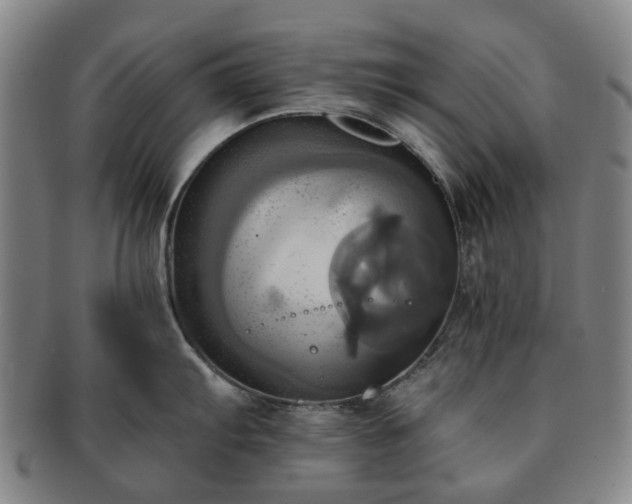 X0000091581103200708271215