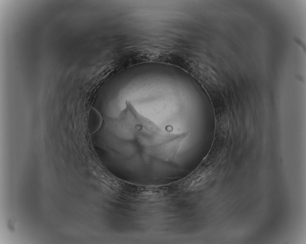 X0000091581105200708271214