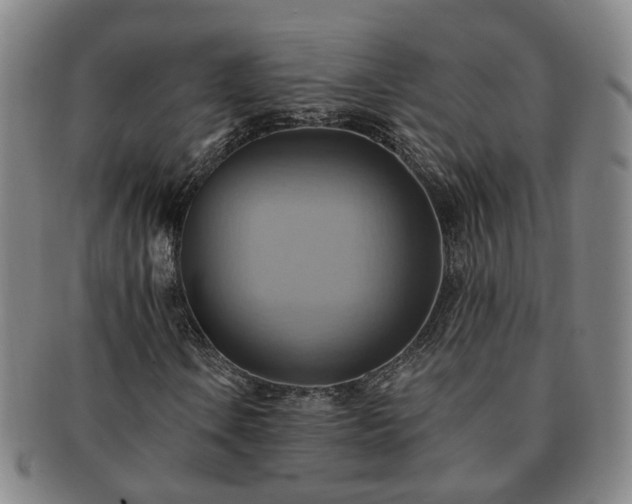 X0000091581106200708271214