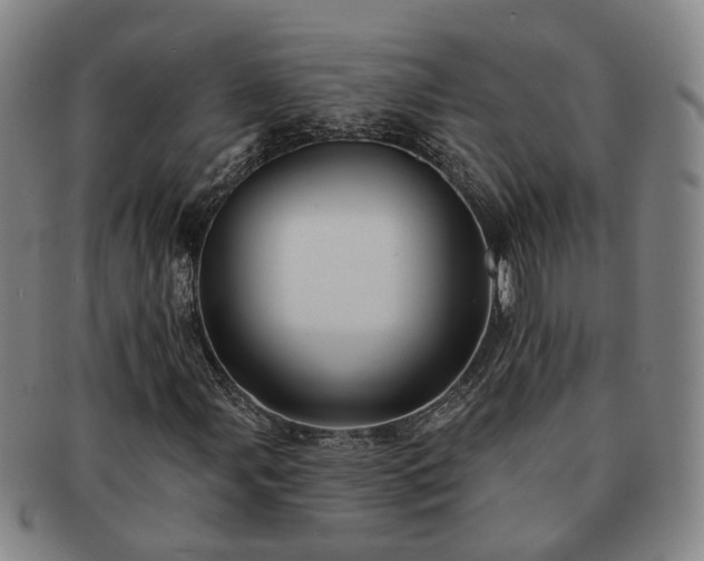 X0000091581107200708271214