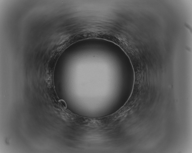 X0000091581109200708271214