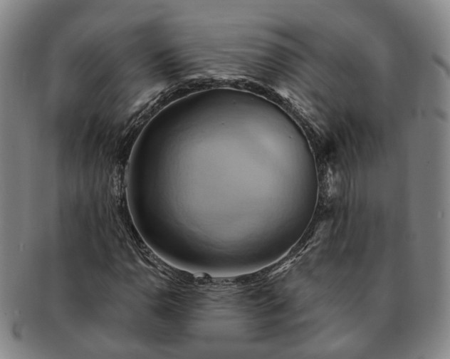 X0000091581110200708271214